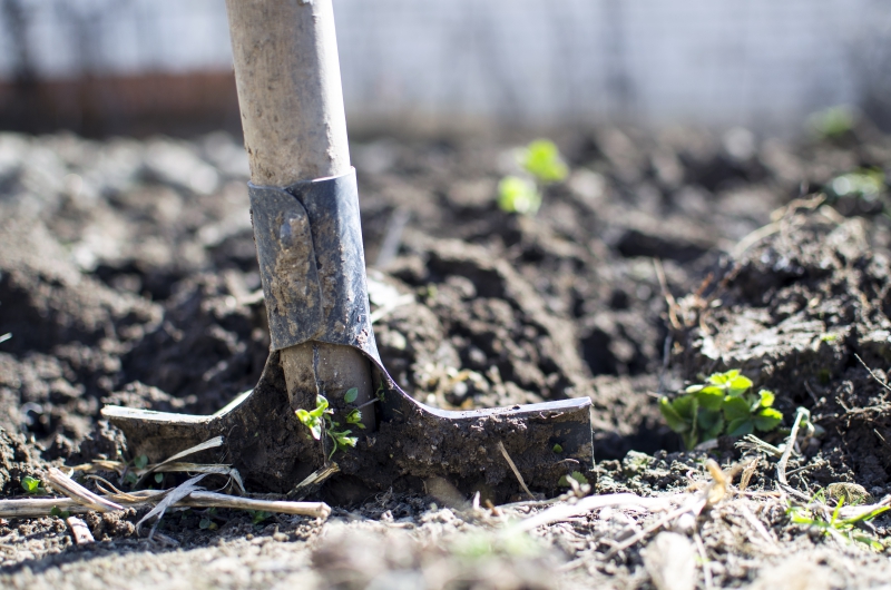 jardinerie-ST RAPHAEL-min_equipment-2047314